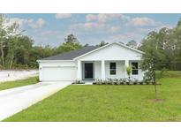 View 42227 Chinaberry St Eustis FL