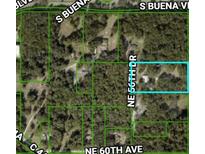Plot map showing lot location and boundaries at 6129 Ne 56Th Dr, Wildwood, FL 34785