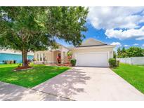 View 2514 Tiger Maple Ct Kissimmee FL