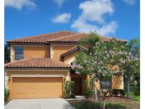 View 2626 Tranquility Way Kissimmee FL
