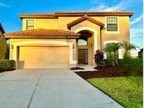 View 2636 Tranquility Way Kissimmee FL