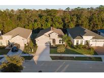 View 3382 Sagebrush St Harmony FL