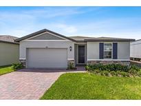 Single-Gathering home with gray siding, a two-car garage, and a landscaped lawn at 3606 Walking Stick Way, Poinciana, FL 34759