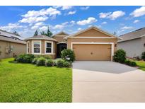 View 343 Spruce Pine Dr Debary FL