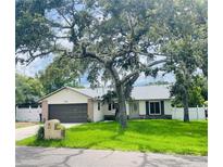 Newly renovated single story home with a spacious lawn and mature trees at 1393 Beverly Ln, Casselberry, FL 32707