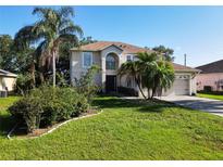 View 603 Parakeet Ct Kissimmee FL