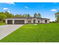 View 12756 Sw 80 St Dunnellon FL