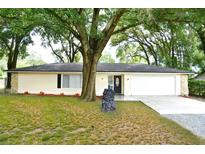 Ranch house with mature landscaping and large tree at 213 E Hillcrest St, Altamonte Springs, FL 32701