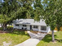 Charming ranch home with mature trees and a landscaped yard at 904 15Th Ne St, Winter Haven, FL 33881