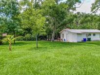 Spacious backyard with detached building at 1129 Crestview Ave, Lakeland, FL 33805