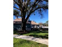 Exterior view of home showcasing backyard and landscaping at 4559 Oak Arbor Cir, Orlando, FL 32808