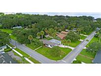 Aerial view of a single story home with surrounding palm trees and lush green landscape at 1706 E 2Nd St, Sanford, FL 32771