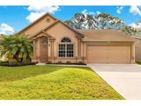 View 11276 Cypress Leaf Dr Orlando FL