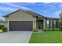 One-story house with a dark brown garage door at 3627 Vega Creek Dr, Saint Cloud, FL 34772