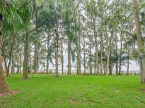 Lush green lawn with mature trees and a peaceful lake view at 16 Cypress Dr, Eustis, FL 32726