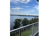 Breathtaking view of the lake from a private balcony at 13427 Blue Heron Beach Dr # 501, Orlando, FL 32821