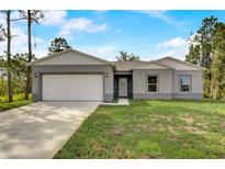 Single-story home with gray exterior and white garage door at 1308 Hillsborough Ct, Kissimmee, FL 34759