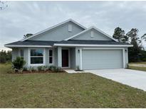Single-story home with gray siding and two car garage at 4306 Sagefield Dr, Harmony, FL 34773
