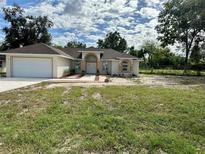 Newly built single-Gathering home with two-car garage at 17271 E Peggy Ave. Ave, Mount Dora, FL 32757