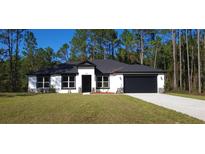 Newly constructed home with a black and white exterior, two-car garage, and spacious lawn at 4115 Swamp Deer Rd, New Smyrna Beach, FL 32168