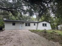 Newly renovated single-story home with a spacious yard at 1111 N Hart Blvd, Orlando, FL 32818