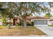 Single-story house with mature landscaping and a two-car garage at 721 Willow Run St, Minneola, FL 34715