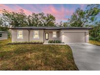 One-story home with a two-car garage and landscaped front yard at 405 N Mcdonald Ave, Deland, FL 32724