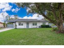 Newly renovated single story home with a grassy yard at 3703 Wade Rd, Orlando, FL 32808