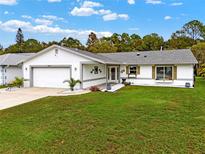 Beautiful house with a well-maintained lawn and a two-car garage at 11533 Sandy Hill Dr, Orlando, FL 32821