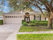 Attractive single-story home with a landscaped yard and a paved driveway at 8019 Arcadian Ct, Mount Dora, FL 32757