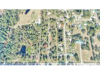 Aerial view of property showing surrounding area and lot size at 14521 E Highway 316, Fort Mc Coy, FL 32134