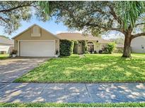 House exterior featuring a well-manicured lawn and attached garage at 4217 Sky Flower Ln, St Cloud, FL 34772