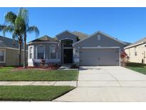 Gray one-story house with a two-car garage, palm trees, and well-maintained landscaping at 10198 Oak Crest Rd, Orlando, FL 32829