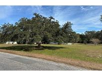 Spacious lot with mature trees and a grassy area at 31029 Nocatee Trl, Sorrento, FL 32776