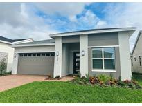 Modern one-story home with attached garage and landscaped front yard at 2817 Willowseed Ln, St Cloud, FL 34772