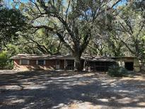 Ranch-style home with mature trees and a large yard at 1918 Mountain Lake Cutoff Rd, Lake Wales, FL 33859