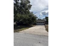 Ranch-style home with a two-car garage and mature trees in the front yard at 2680 Palmetto Rd, Mount Dora, FL 32757