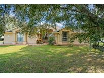 One-story house with light beige exterior, landscaped yard, and large tree at 1855 S Lehigh Dr, Deltona, FL 32738