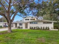 Newly renovated mid-century modern home with a large tree and manicured lawn at 2207 Homewood Dr, Belle Isle, FL 32809