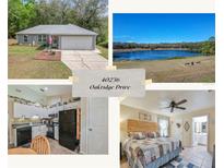 View 40236 Oakridge Dr Lady Lake FL