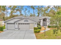 View 19774 Sw 85 Loop Dunnellon FL