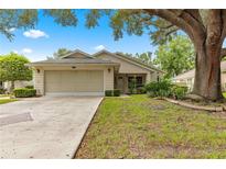 Single-story house with attached garage and landscaped yard at 9213 Sw 91St Cir, Ocala, FL 34481