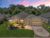 Single-story home with landscaped yard, two-car garage, and welcoming entrance at 11120 Se 168Th Loop, Summerfield, FL 34491