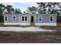 Newly constructed manufactured home with gray siding and a small front yard at 11837 Se 165 Ave, Ocklawaha, FL 32179