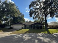 Ranch style home with mature landscaping and a large oak tree at 8120 Nw 47Th Ln, Ocala, FL 34482