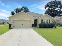 Tan house with a double-car garage and landscaping at 9737 Pepper Tree Pl, Wildwood, FL 34785