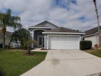 View 754 China Berry Cir Davenport FL