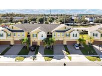 Aerial view of townhouses with garages and palm trees at 9824 Red Eagle Dr, Orlando, FL 32825