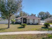 One-story house with a brown roof, gray siding, and a front yard at 1032 Tawny Eagle Dr, Groveland, FL 34736