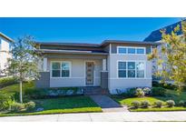 Modern single-story home with gray and white exterior, landscaping, and paved walkway at 8664 Dubochet St, Orlando, FL 32827